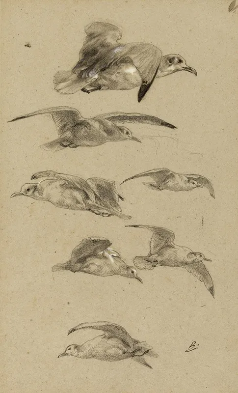 Mouettes by Félix Bracquemond - Canvas Print