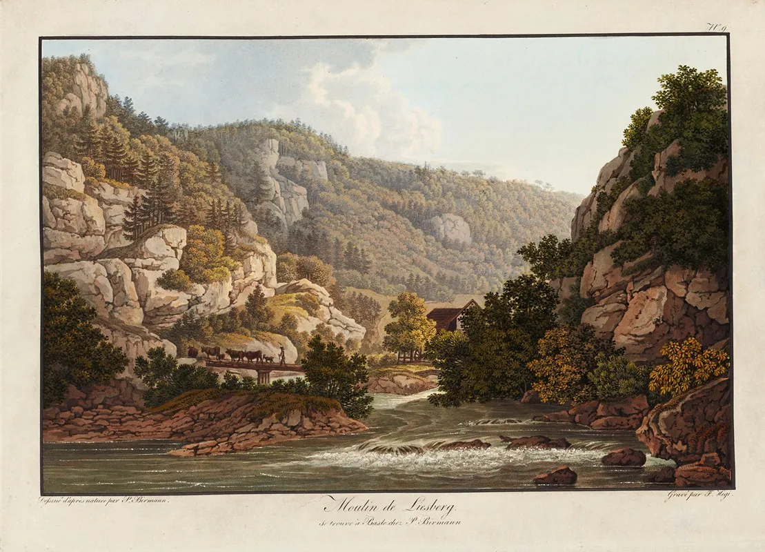 Moulin De Liesberg by Peter Birmann - Canvas Print