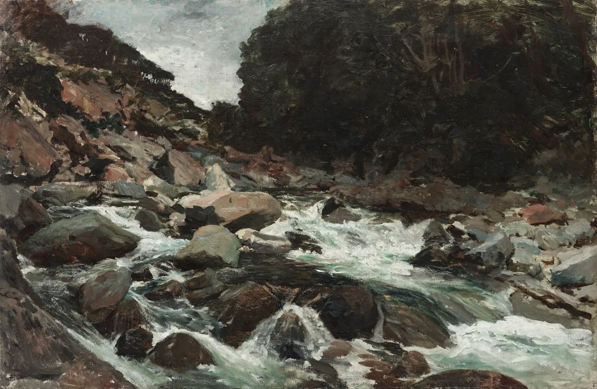 Mountain Stream Otira Gorge by Petrus van der Velden - Canvas Print