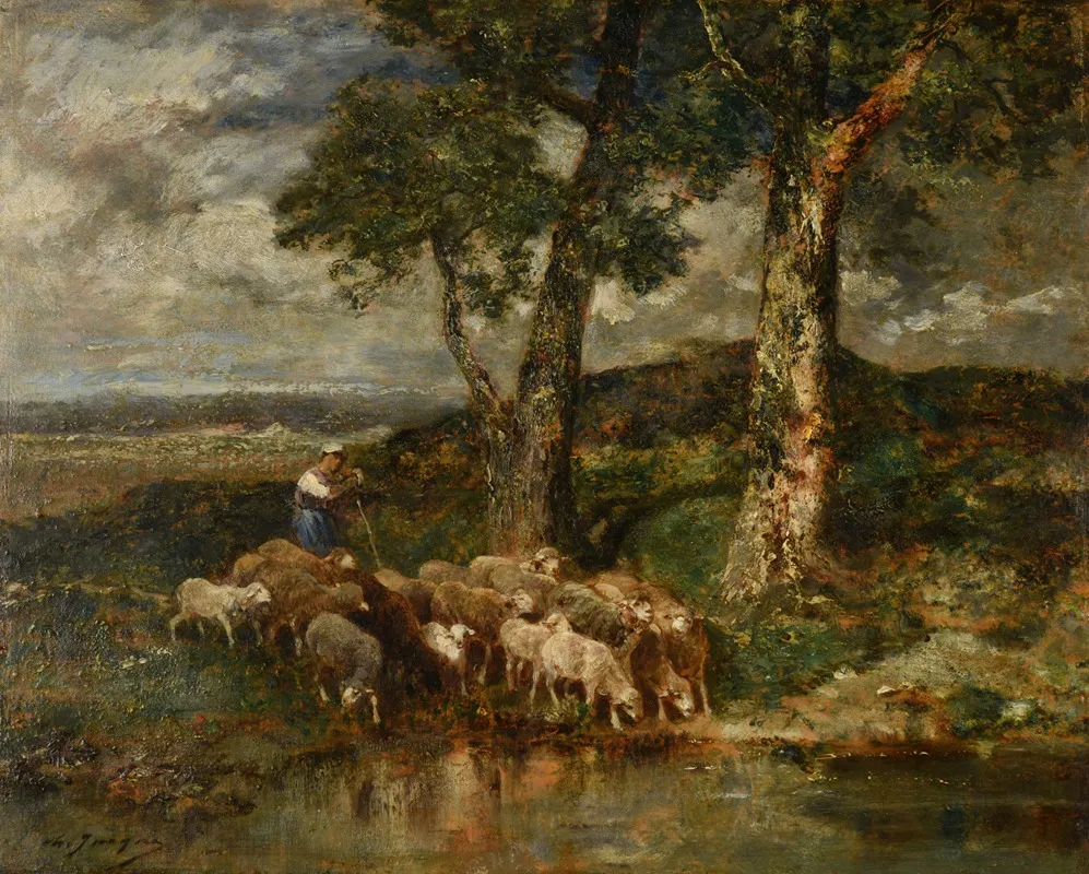 Moutons A Labreuvoir