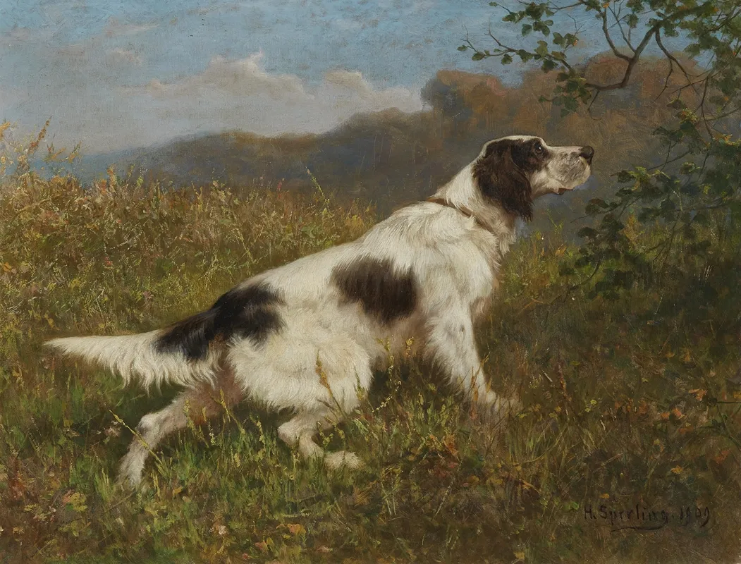 Munsterlander Jagdhund