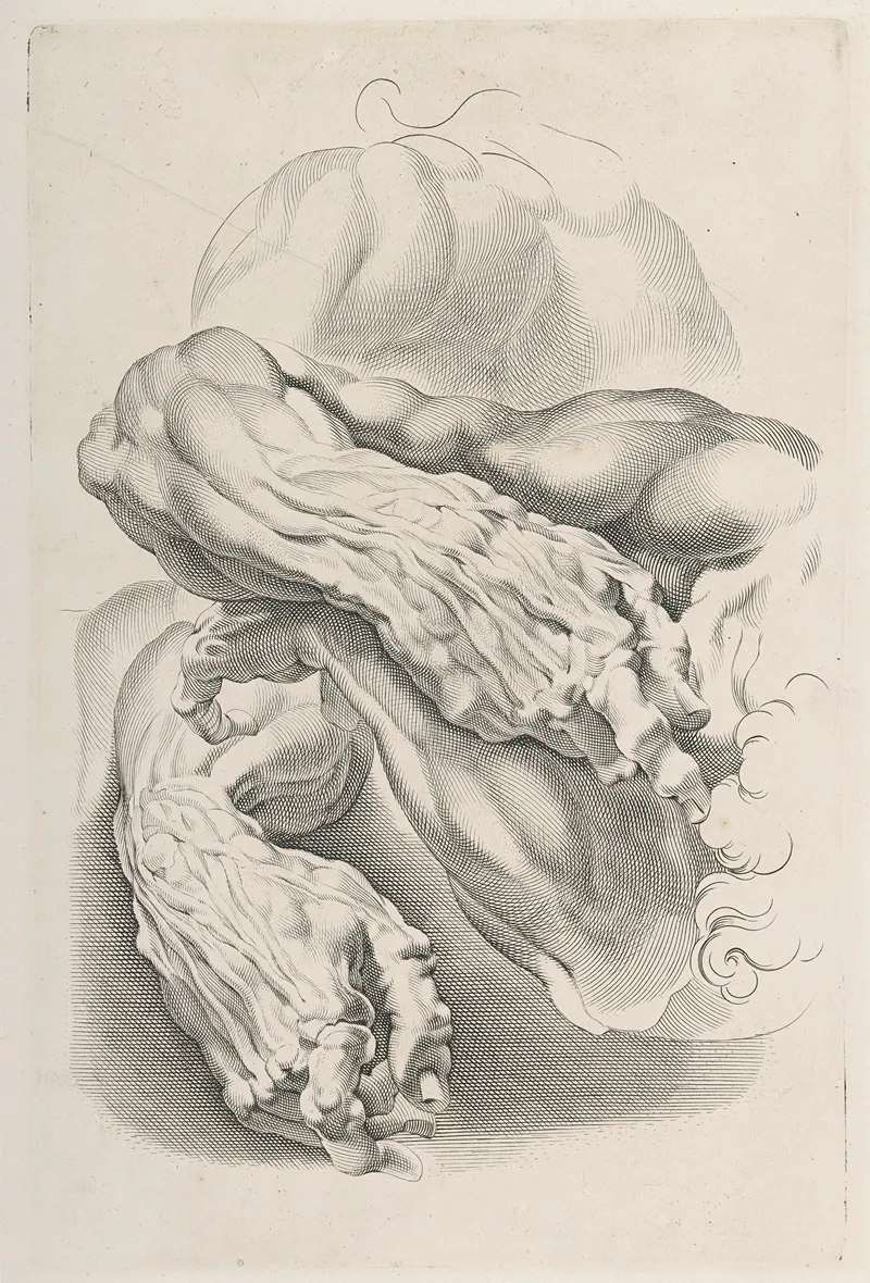 Muscles 2