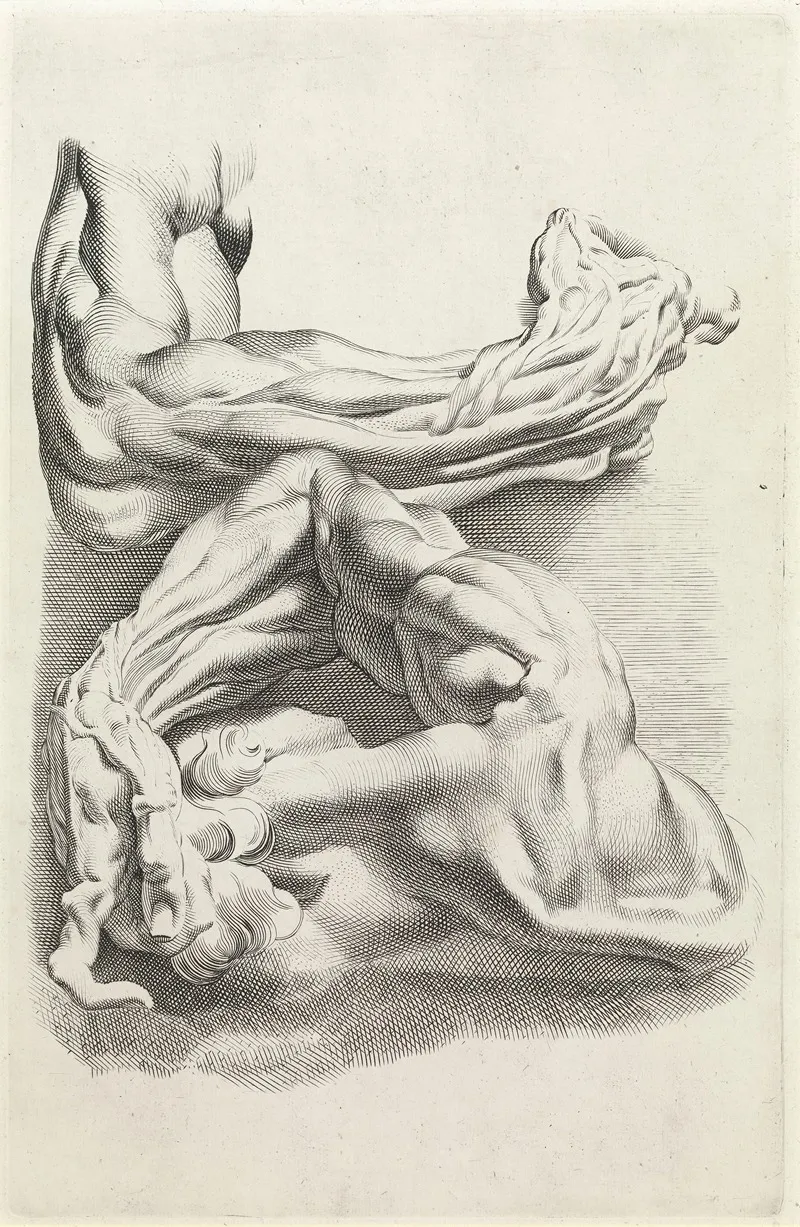 Muscles