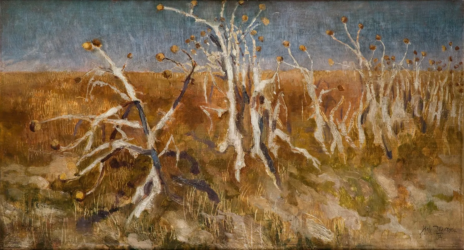 Musk Thistles