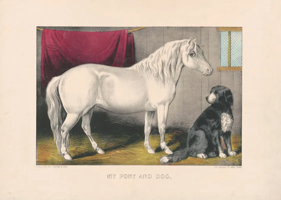 My Pony And Dog