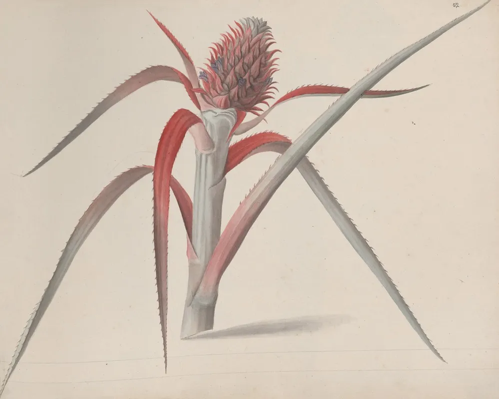 Natural History Of Saint Domingue Pl 184