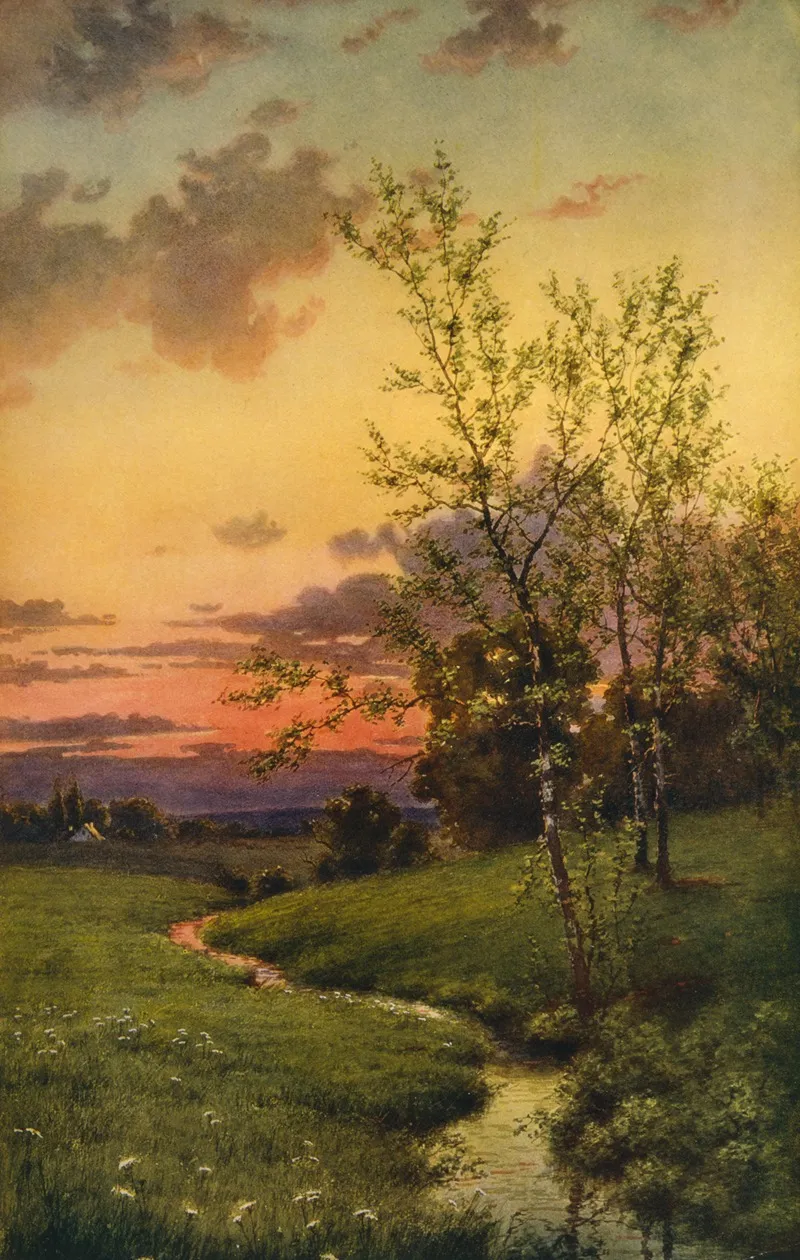 Natures Harmony by Edwin Lamasure - Canvas Print
