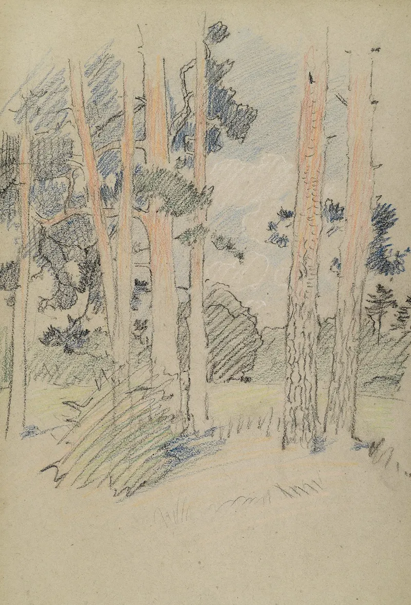 Naturstudie Mit Kiefern by Otto Eckmann - Canvas Print