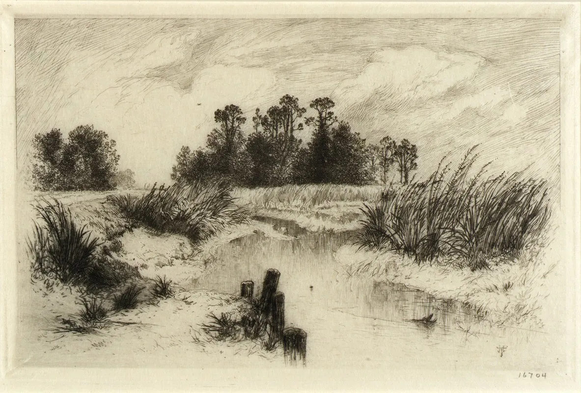 Near Easthampton L I Passaic Meadows