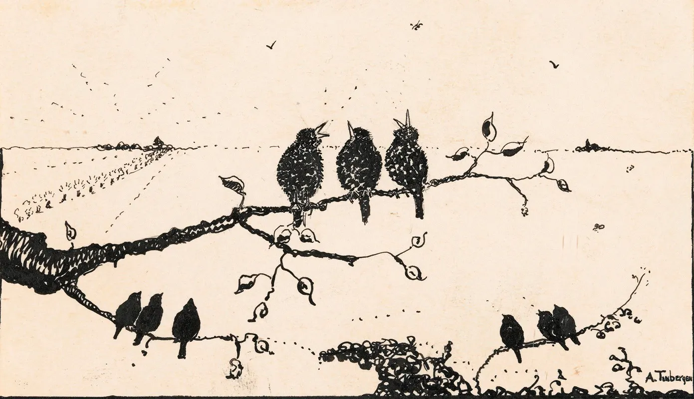 Negen Vogels Op Boomtakken by A. Tinbergen - Canvas Print