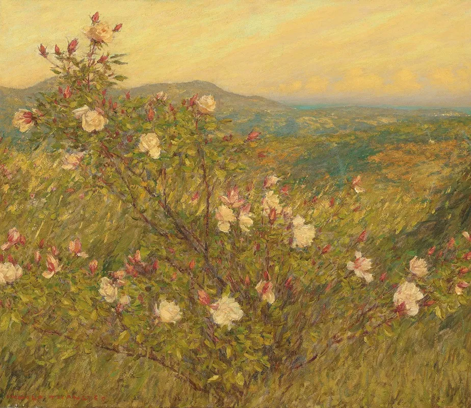 Neglected Roses Provence by Henry Herbert La Thangue - Canvas Print