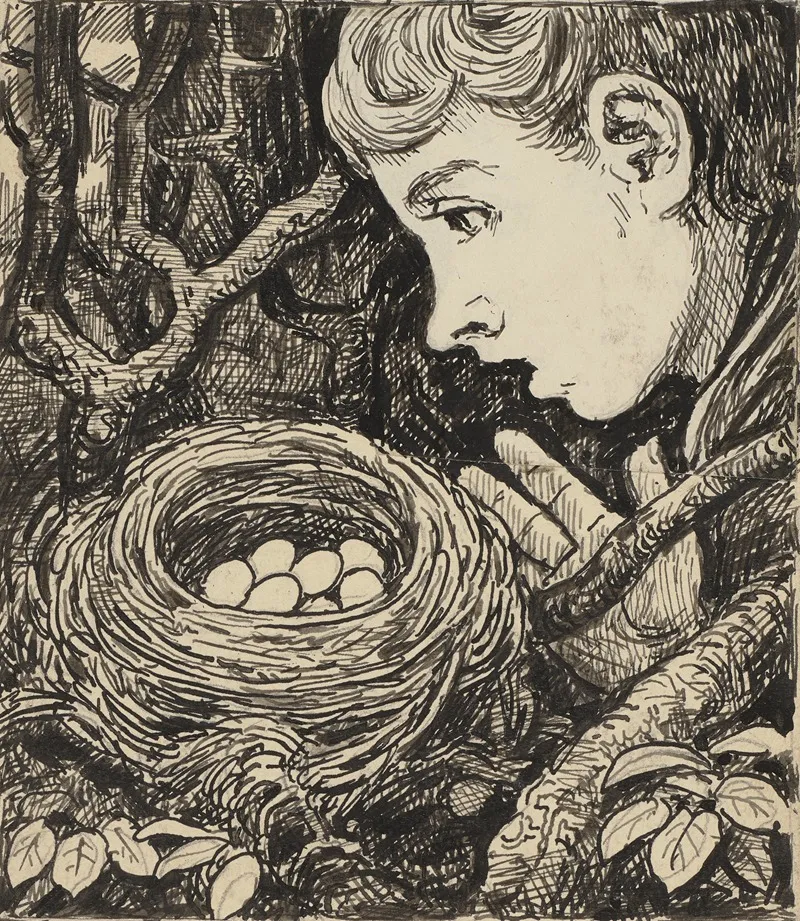 Nest 10