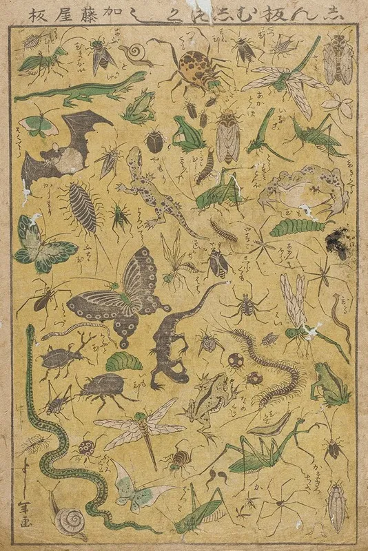 New Publication Of Selected Insects