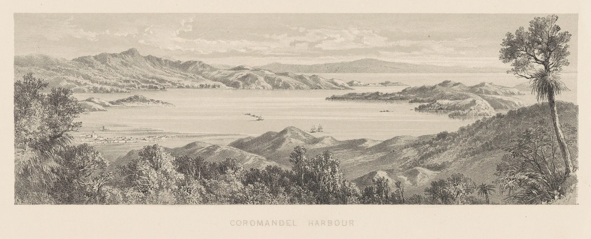 New Zealand Graphic And Descriptive Plate Iii Coromandel Harbour by Charles Decimus Barraud - Canvas Print