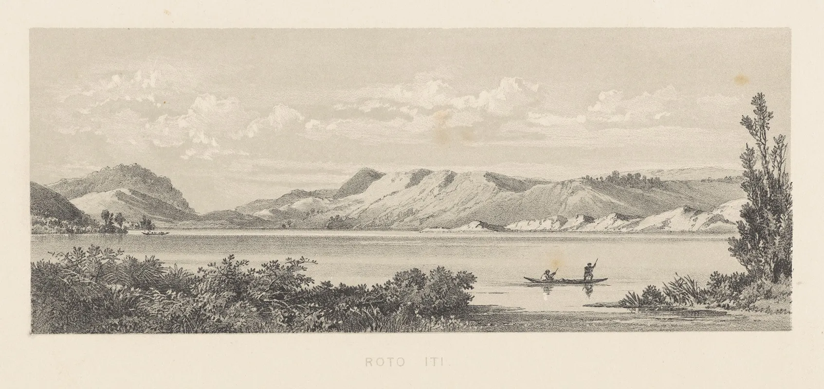 New Zealand Graphic And Descriptive Plate Iii Roto Iti by Charles Decimus Barraud - Canvas Print