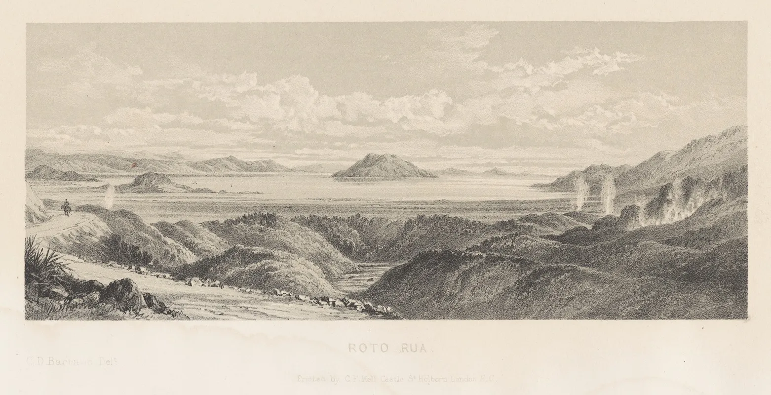 New Zealand Graphic And Descriptive Plate Iii Roto Rua by Charles Decimus Barraud - Canvas Print
