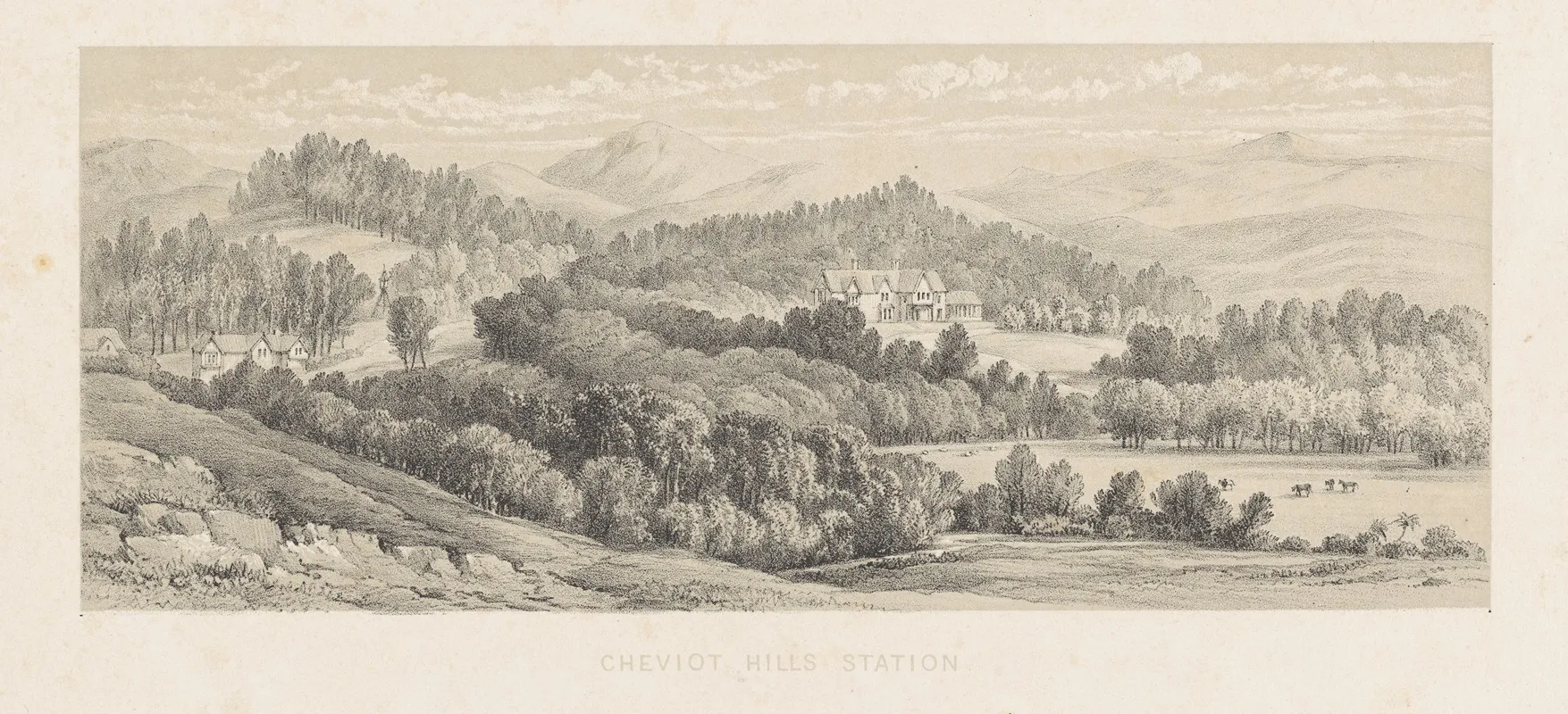 New Zealand Graphic And Descriptive Plate Iv Cheviot Hills Station by Charles Decimus Barraud - Canvas Print