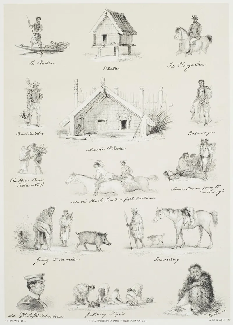 New Zealand Graphic And Descriptive Plate Vi Scraps From My Sketchbook by Charles Decimus Barraud - Canvas Print