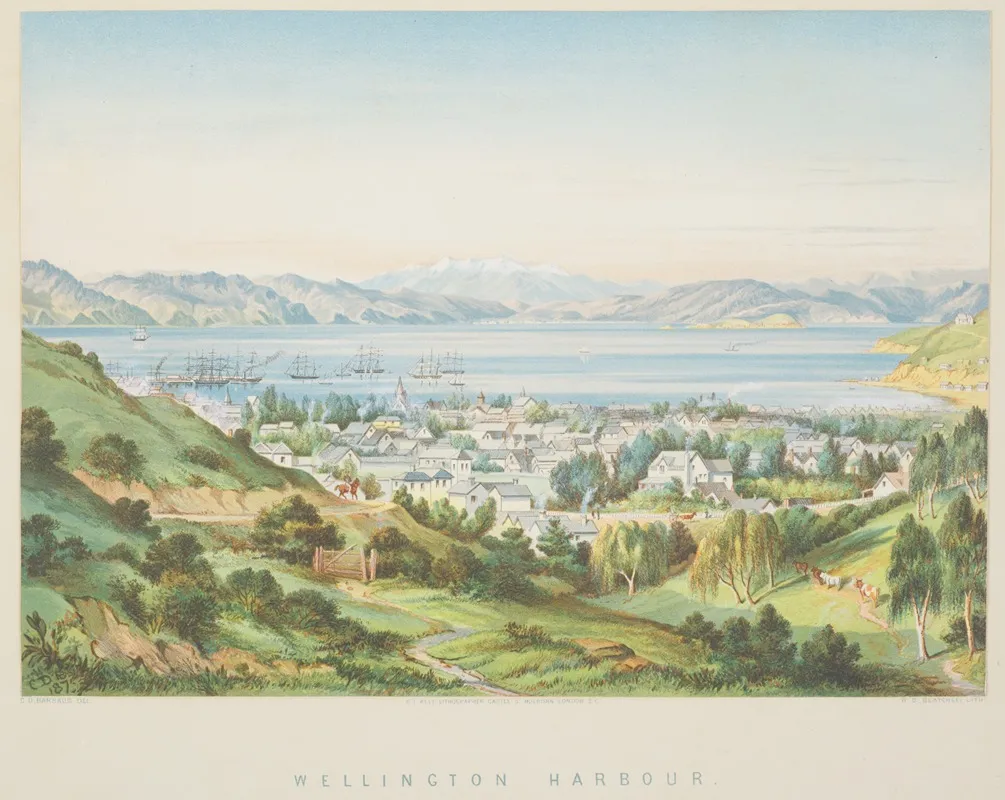 New Zealand Graphic And Descriptive Wellington Harbour by Charles Decimus Barraud - Canvas Print