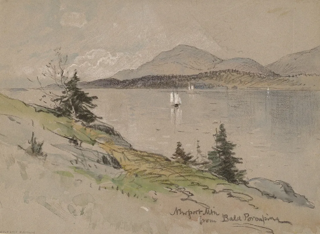 Newport Mountain From Bald Porcupine by George Henry Smillie - Canvas Print