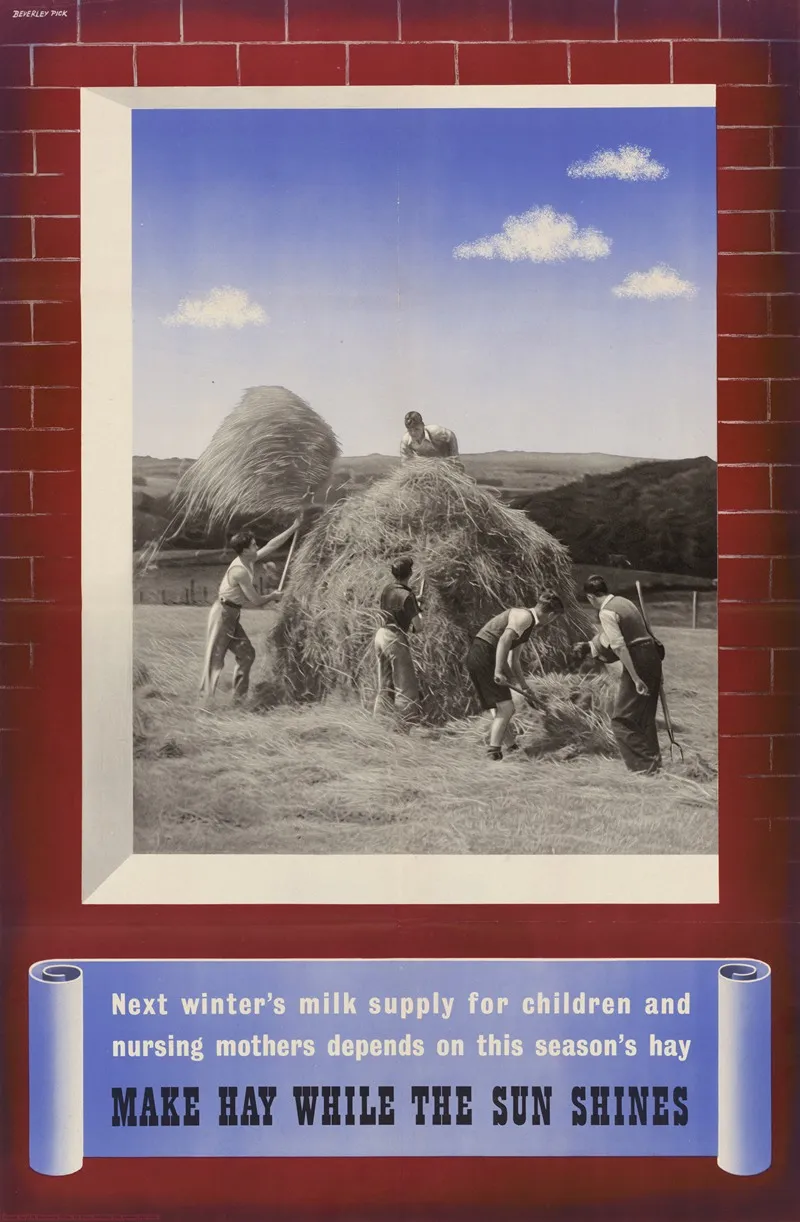 Next Winters Milk Supply For Children And Nursing Mothers Depends On This Seasons Hay Make Hay While The Sun Shines by Beverly Pick - Canvas Print