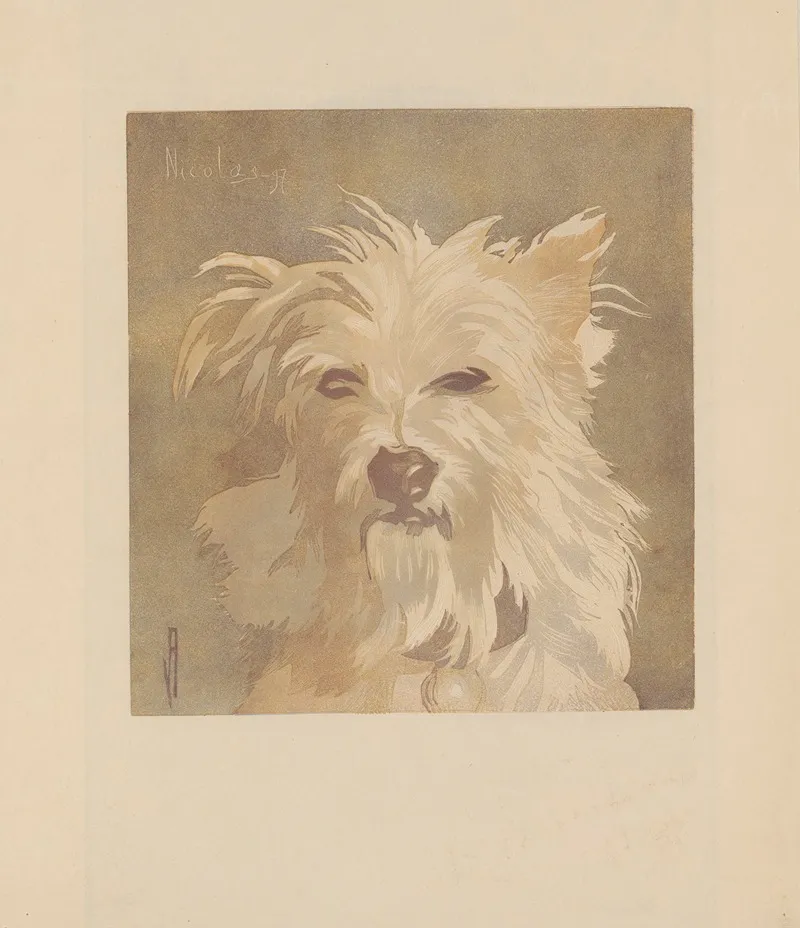 Nicolas Tete De Chien