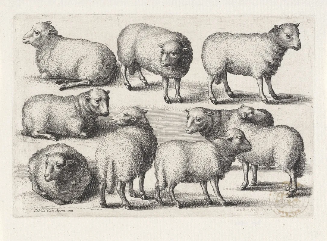 Nine Sheep In A Field