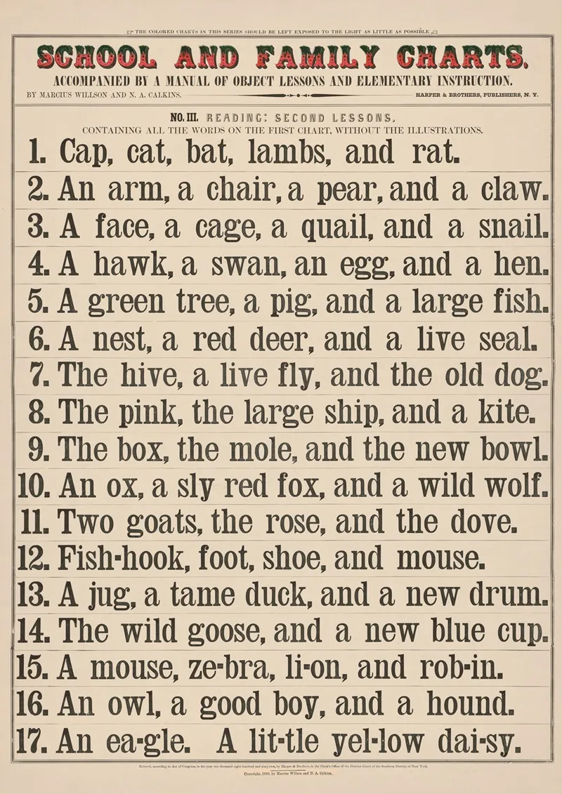 No Iii Reading by Marcius Willson - Canvas Print