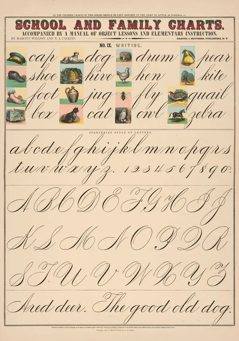 No Ix Writing by Marcius Willson - Canvas Print