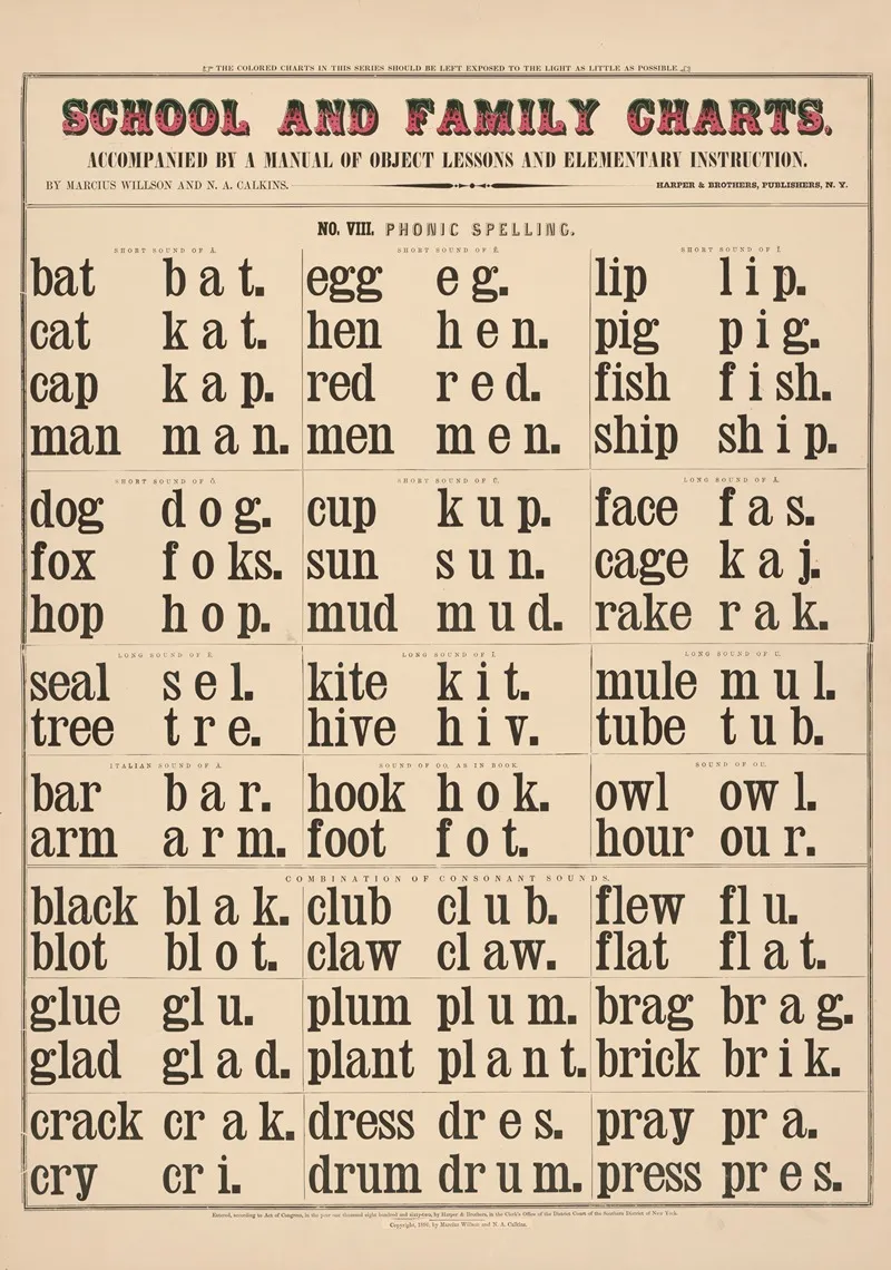 No Viii Phonic Spelling by Marcius Willson - Canvas Print