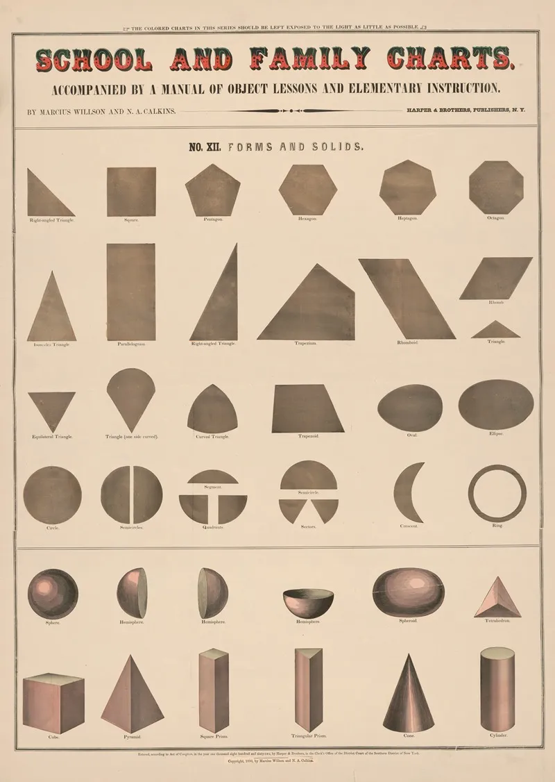 No Xii Forms And Solids by Marcius Willson - Canvas Print