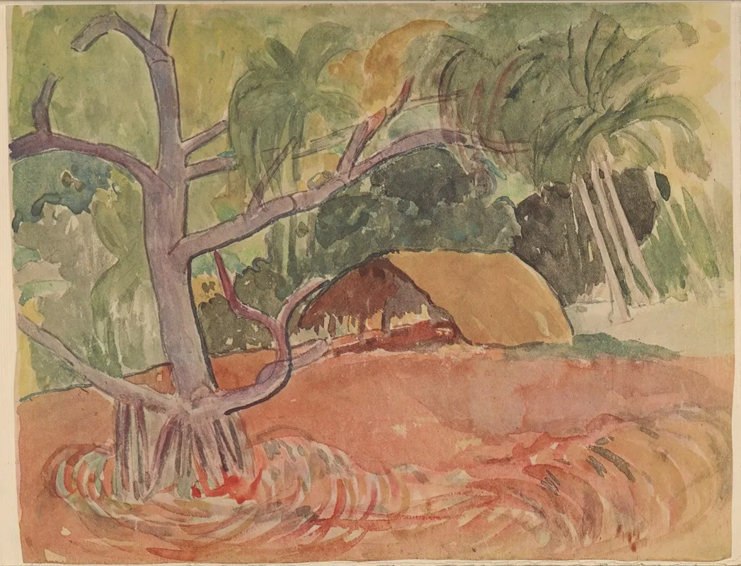 Noanoa Pl 13