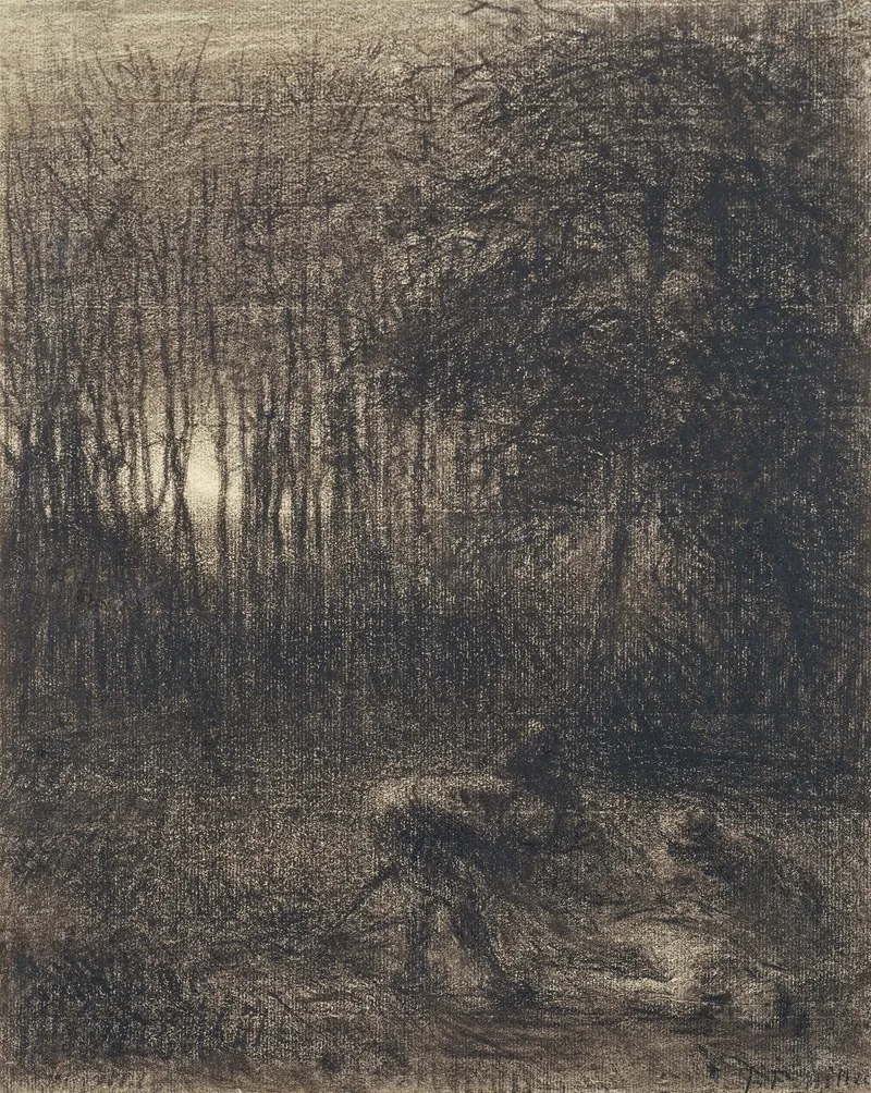 Nocturnal Scene In A Forest