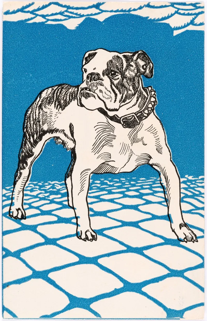 Nr 680 Bulldogge by Moriz Jung - Canvas Print