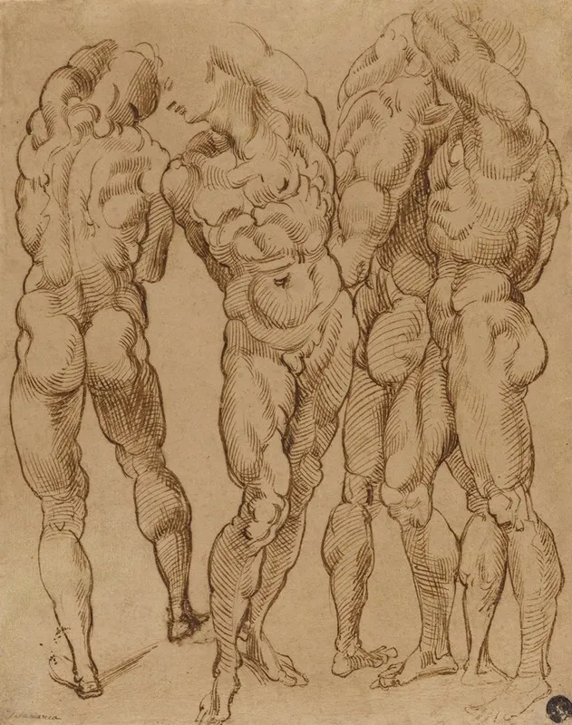 Nude Studies