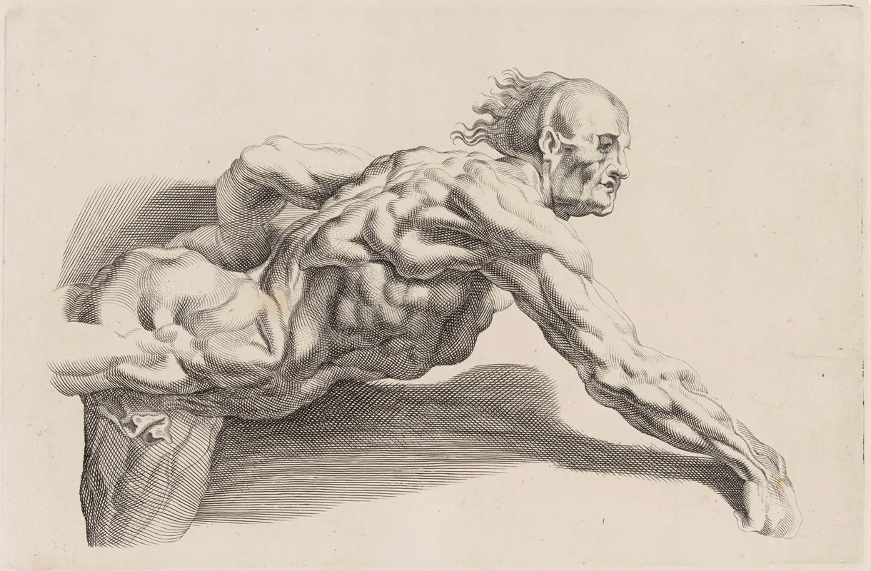 Nude Study 5