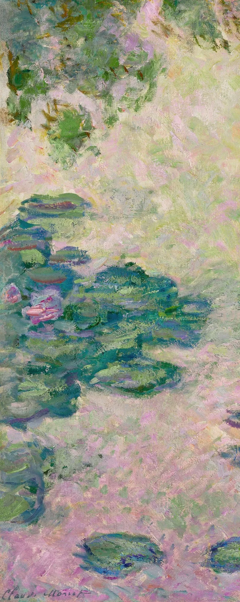 Nympheas Fragment