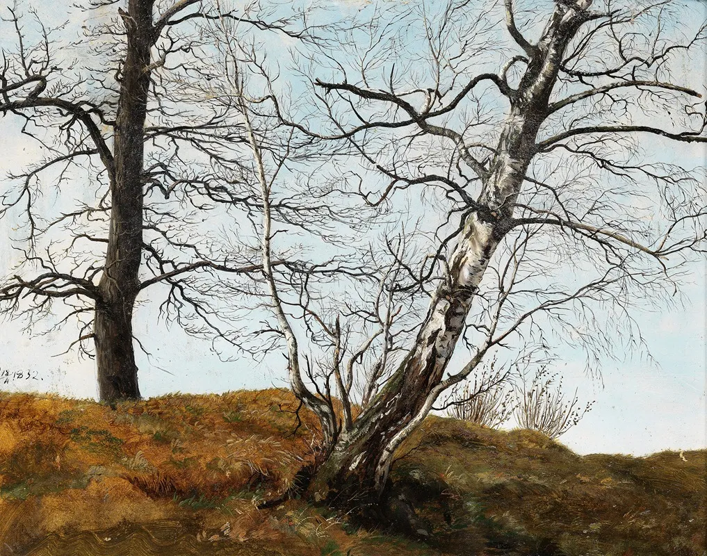 Oak And Birch by Carl Julius von Leypold - Canvas Print