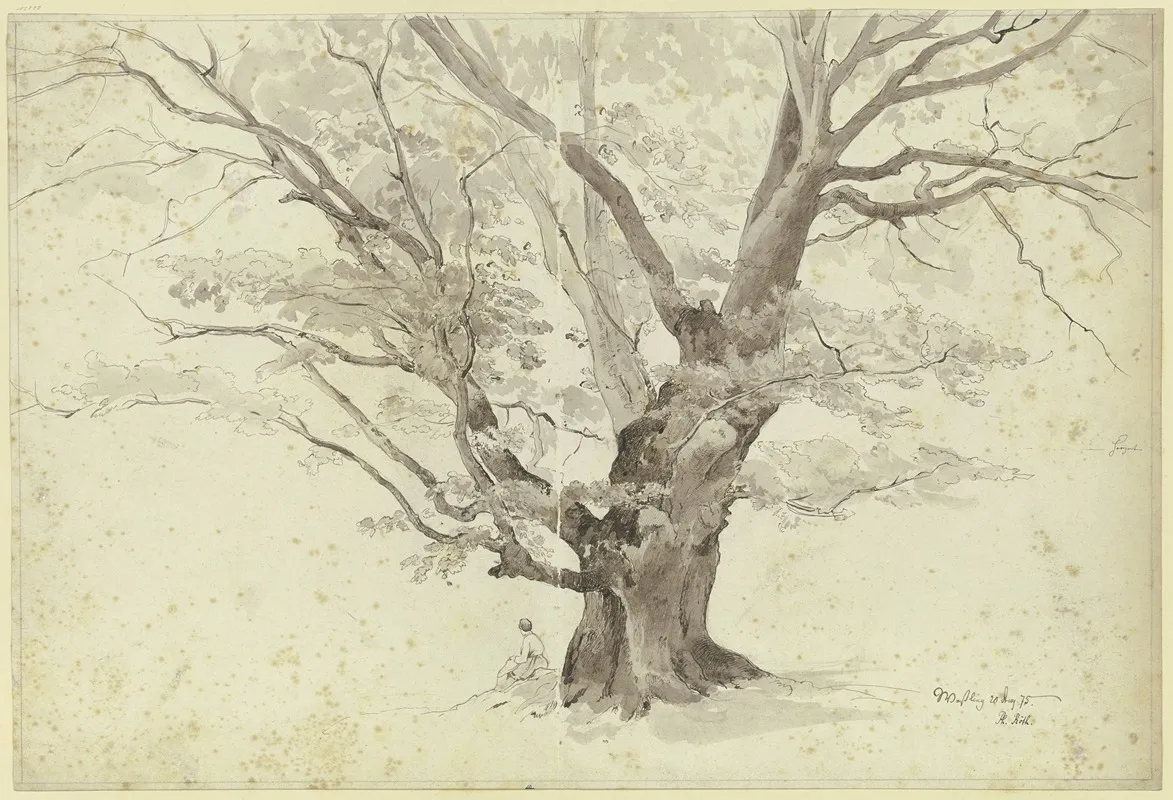 Oak Tree Near Wesling by Philipp Röth - Canvas Print