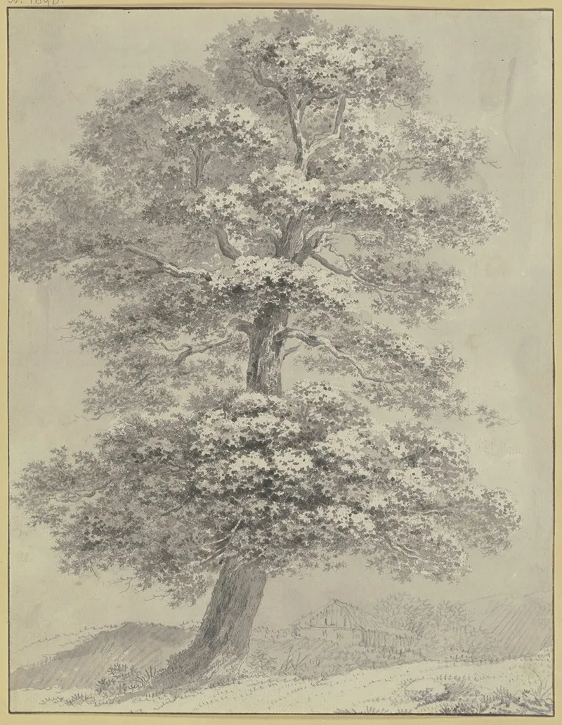 Oak Trees 3 by Heinrich Rieter - Canvas Print