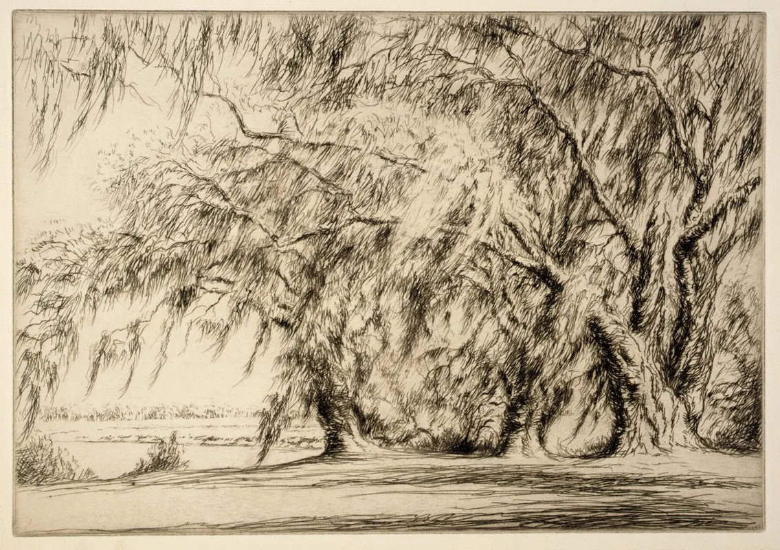 Oaks And Moss by Kerr Eby - Canvas Print