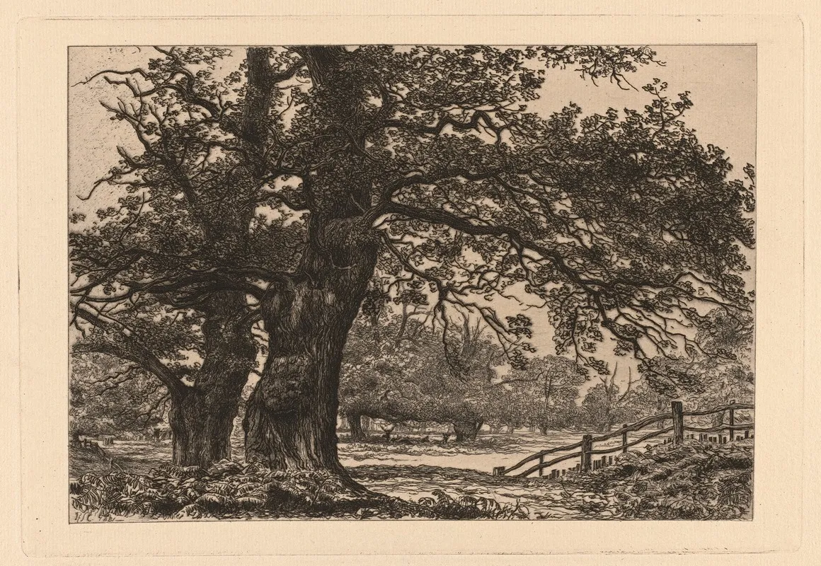 Oaks In Sherwood Forest by Richard Samuel Chattock - Canvas Print