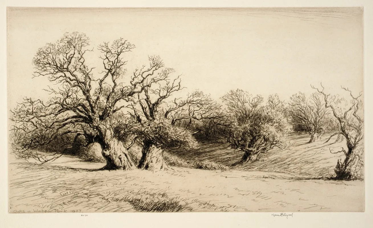 Oaks In Windsor Park by Kerr Eby - Canvas Print