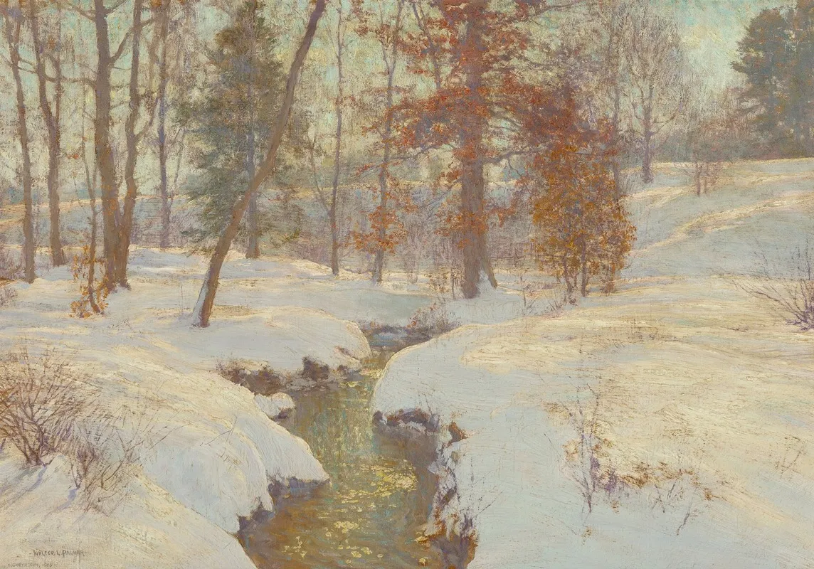Oaks In Winter Snow In November