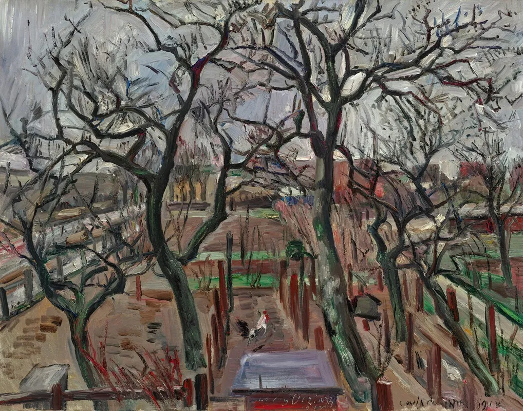 Obstgarten Im Winter