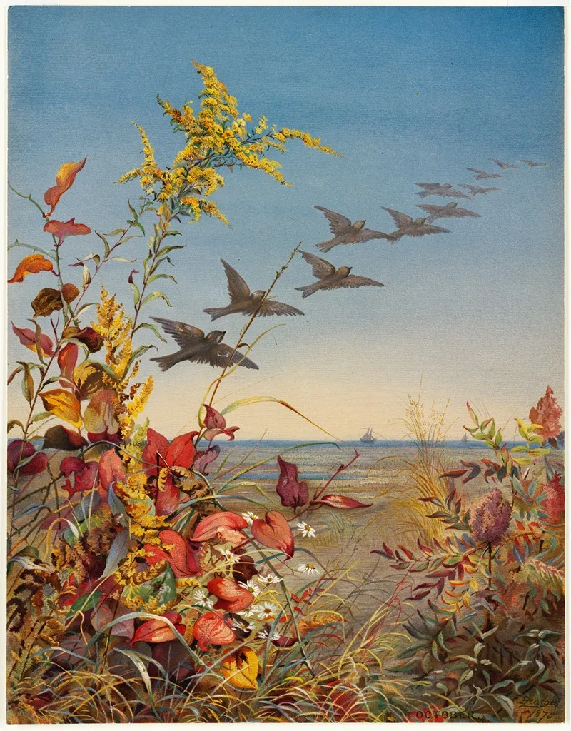 October by Fidelia Bridges - Canvas Print