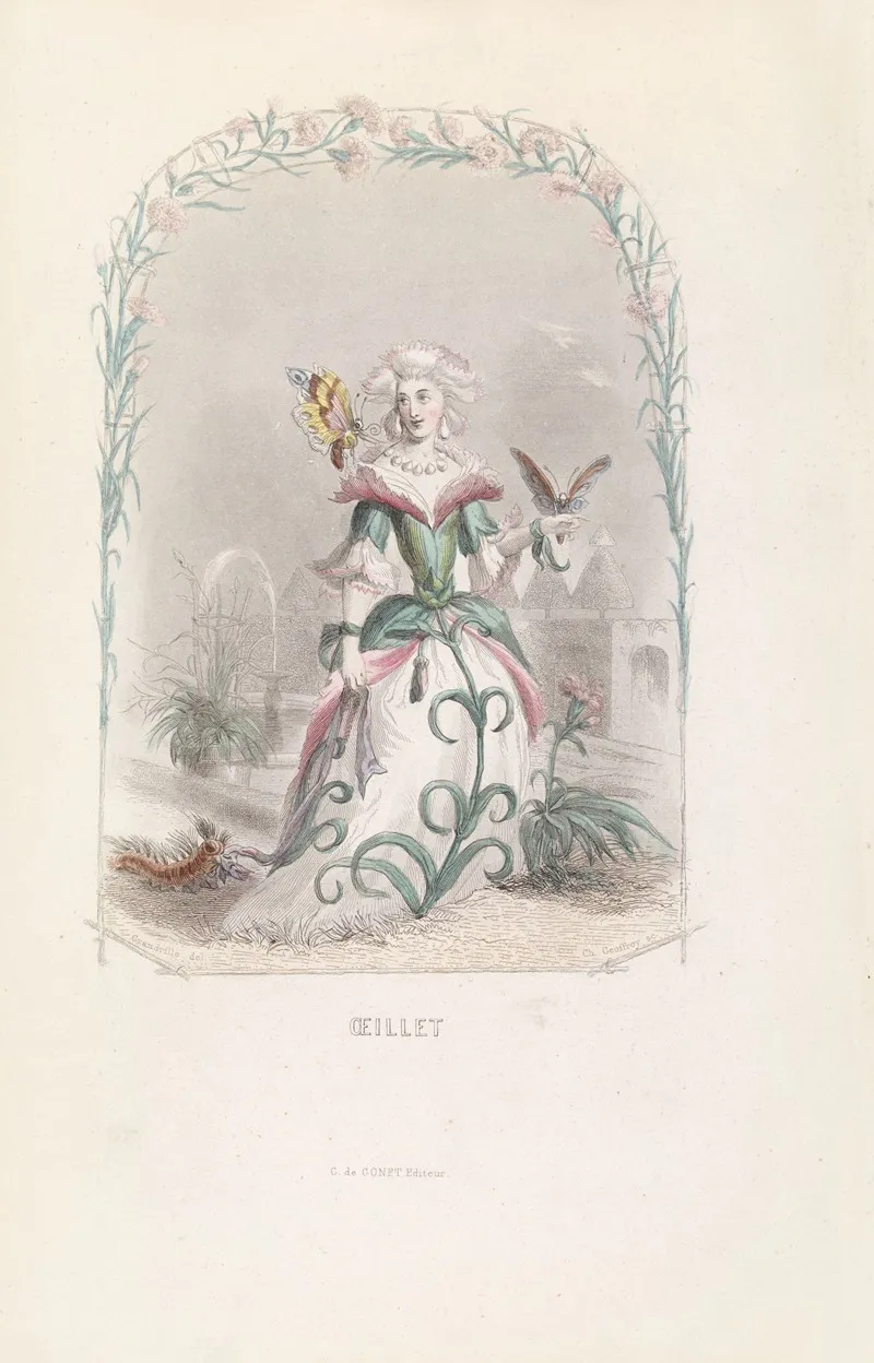Oeillet