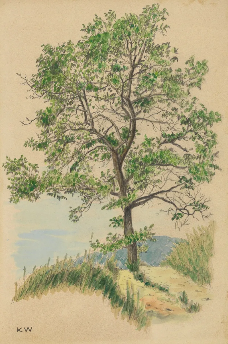 Ohne Titel Laubbaum Und Weg by Karl Wiener - Canvas Print