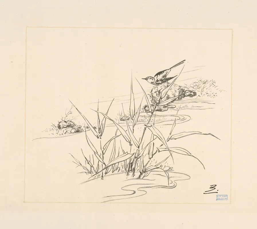 Oiseau Sur Une Pierre Devant Des Roseaux