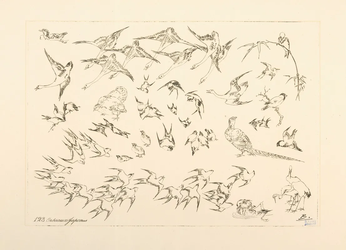 Oiseaux Japonais